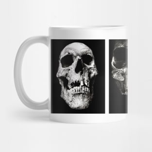 3 Skulls Mug